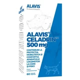 Joint supplements for dogs and cats Celadrin, 500 mg, 60 capsules, Alavis