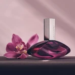 Calvin Klein Euphoria Woman, eau de parfum pour femmes, 100 ml