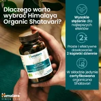 Himalaya Organic Shatavari set, 2 x 60 comprimidos