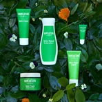 Weleda Skin Food, rijke crème voor intensieve verzorging van de droge en zeer droge huid, 75 ml