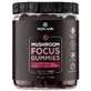 Solve Labs Mushroom Focus Gummies, Geleebonbons, 60 Stück