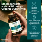 Himalaya Bio-Gymnema-Set, 2 x 60 Tabletten