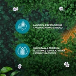 AMOL keel, kruidenpastilles met honing en vitamine C, 16 zuigtabletten