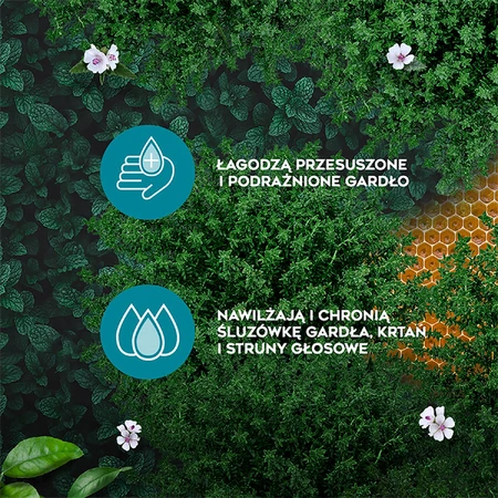 AMOL keel, kruidenpastilles met honing en vitamine C, 16 zuigtabletten