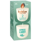 Bolsius Clean Light Cypress & Amber, candle fragrance refill, 20 hrs, 2 pieces