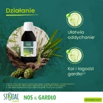 Boiron Stodal Planten, siroop, 150 ml
