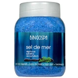 Bingospa sel de mer, badzout, fucus algen en spirulina, 1.35 kg