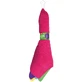 Paclan Practi, microfiber cloths, 38 x 38 cm, 5 pieces