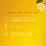 Pukka Lemon Ginger & Manuka Honey Organic, fruit- en kruidenthee, gember en citroen, gearomatiseerd, 2 g x 20 builtjes
