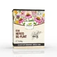 Hepato-Bil plantenthee, 150 g, Dorel Plant