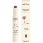 Embryolisse, 3-in-1 color stick, Mocha, 2.5 g