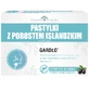 Lozenges with Icelandic Lichen, blackcurrant flavor, 24 lozenges