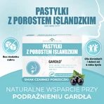 IJslandse korstmospastilles, zwarte bessensmaak, 24 zuigtabletten