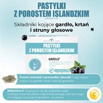 IJslandse korstmospastilles, zwarte bessensmaak, 24 zuigtabletten