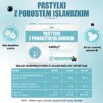 IJslandse korstmospastilles, zwarte bessensmaak, 24 zuigtabletten