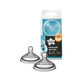 Silicone anti-colic nipple with fast flow, +6 months, 2 pieces, Tommee Tippee