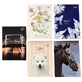 Interdruk Carnet de notes A6 grille 50 feuilles