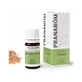 Pranarom Etherische olie Frankincense 5 ml, Boswellia carteri ORGANIC