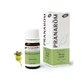 Pranarom Etherische olie Mirte Groen qt Cineol 5 ml, Mirtus communis ORGANIC