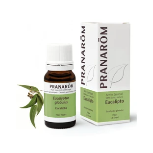 Pranarom Ätherisches Öl Eukalyptus Eukalyptus Globulus 10 ml, Eukalyptus Globulus ORGANIC