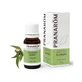 Pranarom Etherische Olie Eucalyptus Eucalyptus Globulus 10 ml, Eucalyptus Globulus ORGANIC