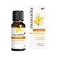 Pranarom Diffusion Bio Wellness zu Hause 30ml