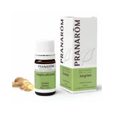 Pranarom Essential Oil Ginger 5 ml, Zinziber officinale ORGANIC