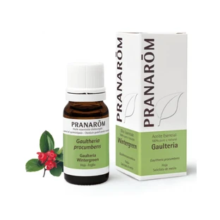 Pranarom Wintergroen etherische olie 10 ml, Gaultheria Procumbens