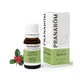 Pranarom Wintergroen etherische olie 10 ml, Gaultheria Procumbens