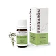 Pranarom Savory Essential Oil 5ml