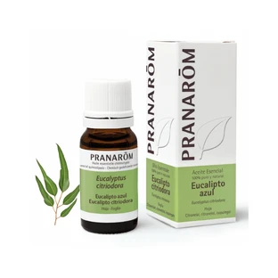 Pranarom Essential oil Eucalyptus Citriodora, Blue Eucalyptus 10 ml
