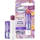 Balea Orientalischer Pflaumen-Lippenbalsam, 4,8 g