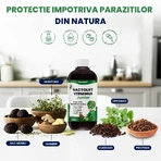 BactoLift Verminus Junior - Siroop voor intestinale parasieten bij kinderen - Bevordert de eliminatie van parasieten en verhoogt de immuniteit - 100% natuurlijk - 250 ml