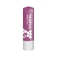 BESCHERMENDE LIPSTICK MET PROPOLIS