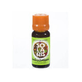 Vanilla and Cinnamon aromatherapy oil, 10 ml, Solaris