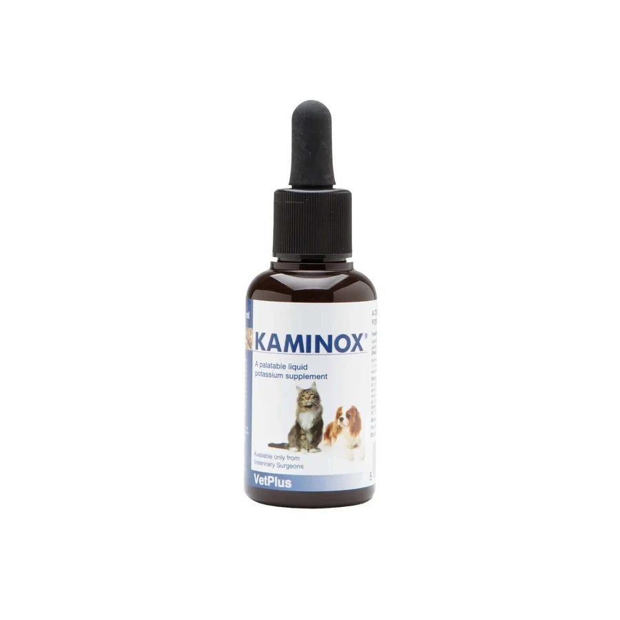 Kaminox 120 ml