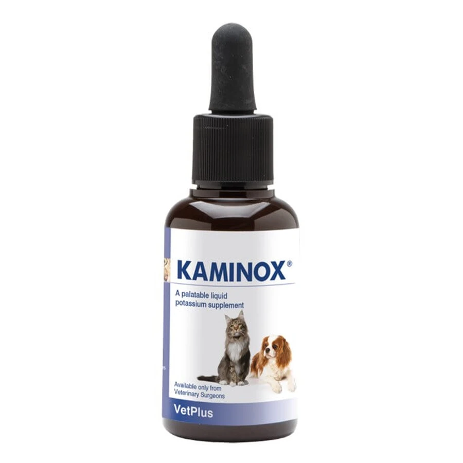 Kaminox 120 ml