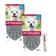 Advantix antiparasitäre Pipette für Hunde von 4 bis 10 kg, 8 Einheiten x 1 ml