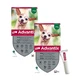 Advantix antiparasitic pipette for dogs up to 4 kg, 8 units X 0.4 ml