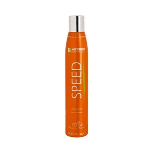 Artero Hygiene Speedchampu Dry 300 Ml