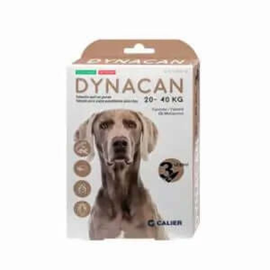 Dynacan Dog Calrier 20-40Kg 3Pip