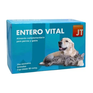 JTPharma Enterovital, 60 Tabletten