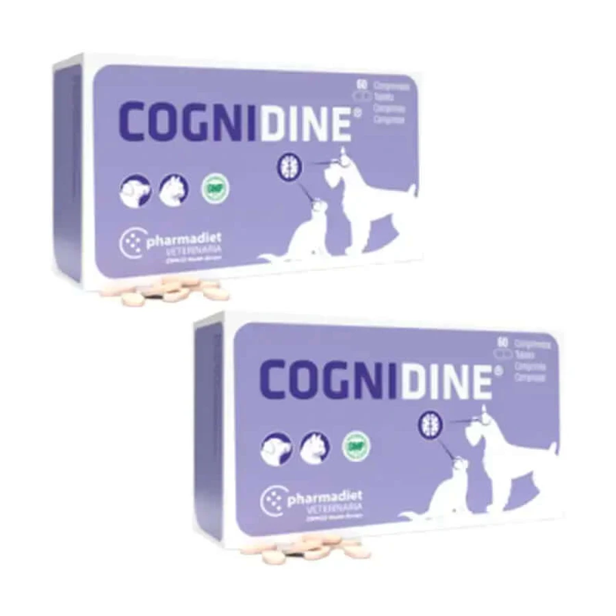 Cognidine Pack, envase 2 x 60 comprimidos