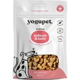 Yogupet Snack semi-húmedo para perros con sabor a salmón y kéfir , 50 g