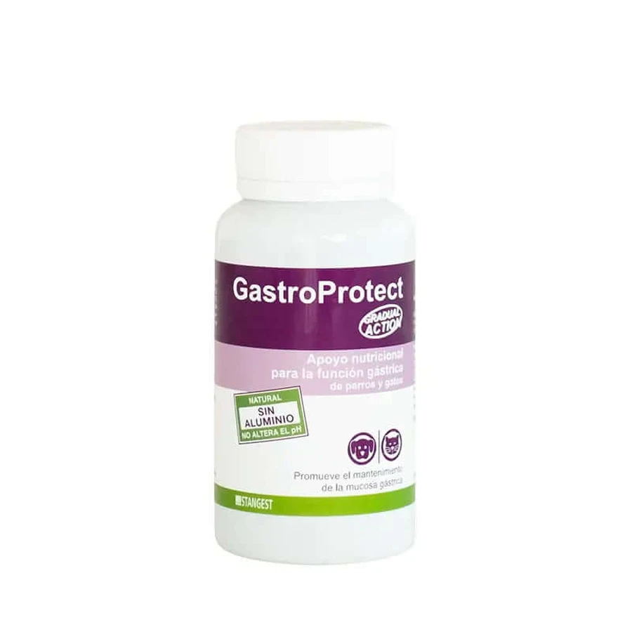 Stangest Gastroprotect, 30 Tabletten