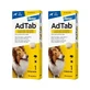 Adtab 900Mg chewable tablets for dogs 22-45Kg, 2 tablets