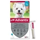 Advantix antiparasitic pipette for dogs from 4 to 10 kg 4 units x 1 ml