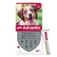 Advantix antiparasitic pipette for dogs from 10 to 25 kg 4 pieces x 2,5 ml