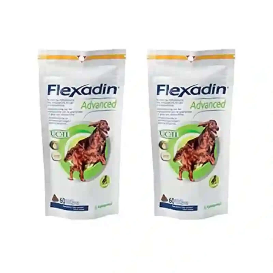 Flexadin Advance Chondroprotector voor honden, 2X60 tabletten