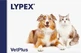 Lypex dogs and cats, 60 capsules